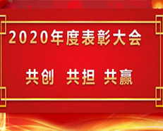 2020安的電子年度表彰大會順利召開 ---“共創(chuàng)，共擔(dān)，共贏”主題演講